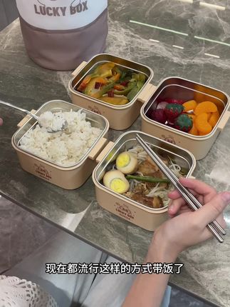 独立盒装的饭盒,好适合带饭上班上学,带便当带水果野餐,可微波炉! #饭盒推荐 #保温饭盒 #饭盒 #便当盒