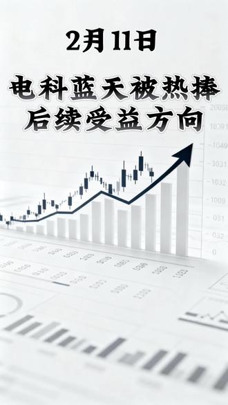 2月11日 电科蓝天上市被热捧的背后逻辑 #股票 #股民 #商业航天 #电科蓝天