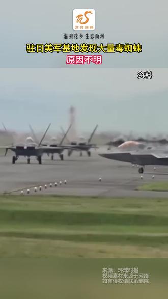 驻日美军基地发现大量毒蜘蛛,原因不明