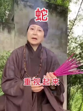 #蛇 #65年的蛇 #77年的蛇 #89年的蛇 #汽车用品