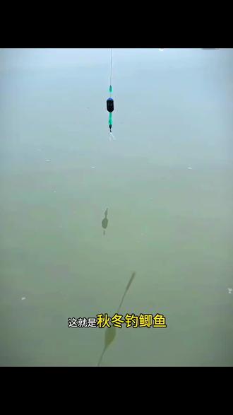 新款立漂免调漂线组成品钓鱼线套装绑好子线海夕双钩鱼漂台钓主线,新手必备神器,轻松上鱼不翻车! #台钓线组 #免调漂神器 #海夕双钩 #钓鱼装备推荐 #子线绑法