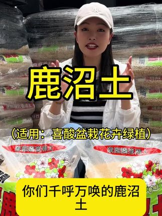 养喜酸类植物用#鹿沼土 #养花 #花卉绿植 #园艺