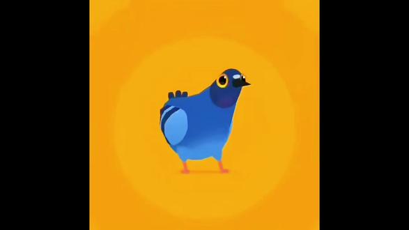 今天学疯狂鸽子卡点#剪辑#视频剪辑#剪辑教程#自学电脑版剪映#教程来了