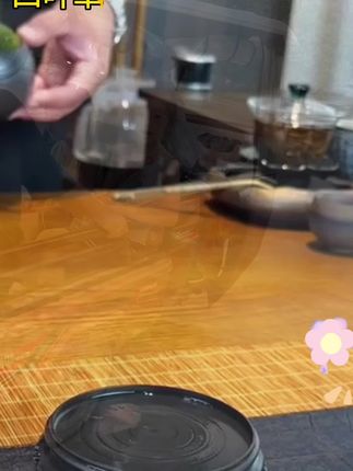 #四叶草 #幸运草#室内绿植 #爱生活爱养花