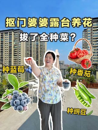 一口的装修日记