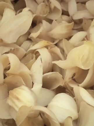 【2025头茬】龙牙百合干中大片天然粉糯无硫隆回产地直发龙牙百合#百合#产地直供