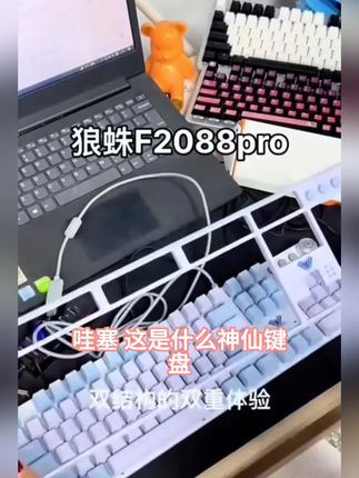 AULA/狼蛛F2088PRO机械键盘青轴电竞游戏电脑有线104键机械键盘