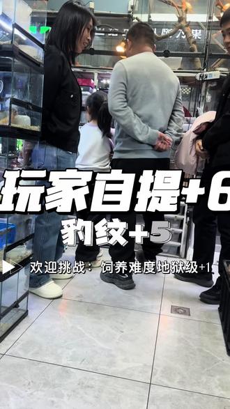 #记录真实生活 在小小的年纪养,难养的爬,来吧你就!地狱级饲养难度!接受你的挑战!