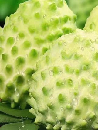 【今日爆款】凤梨牛奶释迦果大果顺丰包邮番荔枝稀有罕见水果佛头果