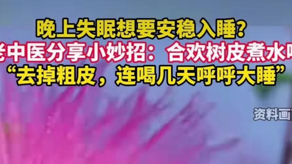 合欢树皮煮水治疗失眠(仅供参考)