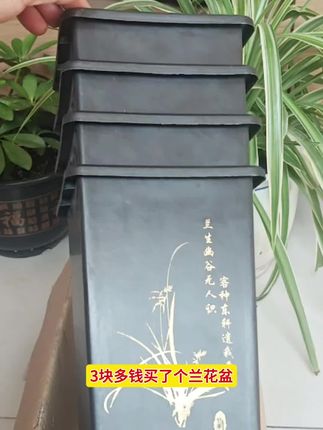 #国风兰花专用盆 #兰花盆#透气花盆托盘 #花卉绿植 #爱生活爱养花