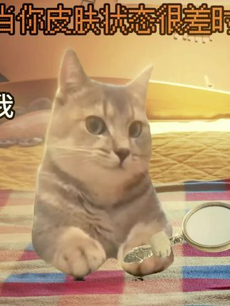 一觉睡醒天塌了,还好有我奶 #内容过于真实#猫meme#科普一下#细初当归黑豆