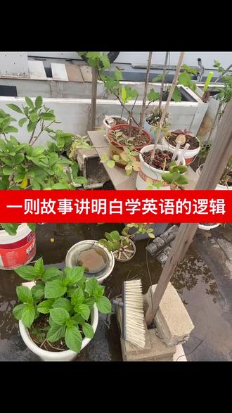 这个视频看到最后 你也许会收到不一样的惊喜