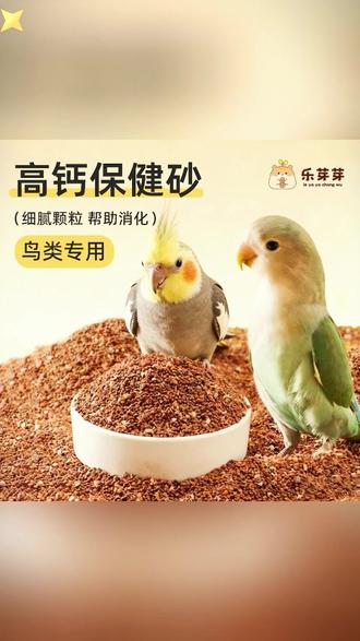 新手害鸟的行为‼️ #鹦鹉保健砂 #鹦鹉 #鹦鹉日常