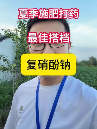 一个小动作,夏季施肥打药效果就可以得到明显提升#农业种植 #复硝酚钠 #复硝酚钠使用方法 #复硝酚钠的作用 #分享农业知识帮农民增产增收