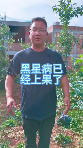 黑星病已经上果了,大家一定要重视! #苹果#美甜#琻甜#黑星病