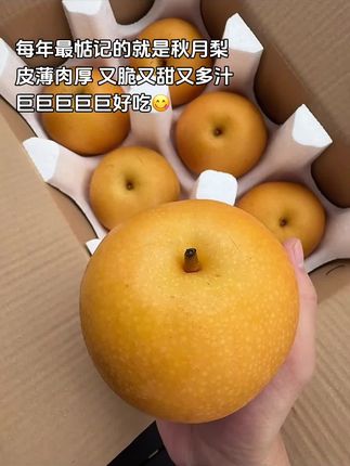 哇!这个秋月梨也太绝了吧🍭甜度直接爆表,完全是我的心头好!薄薄的梨片简直像冰凝的玉片,入口那一刻绝了!无渣、爆汁,顺着喉咙滑下去,解渴到浑身舒坦!重点是,它真的太太太好吃了!好吃到想原地拖一箱的那种!#秋月梨 #脆甜多汁 #新鲜应季水果 #口感特别好 #大人小孩都爱吃