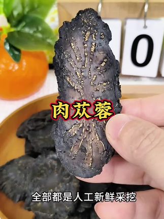 肉苁蓉#肉苁蓉片#煲汤,炖肉泡酒泡水喝好处多多