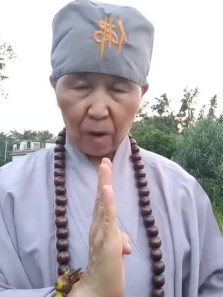#1965年的蛇 #1977年的蛇 #蛇