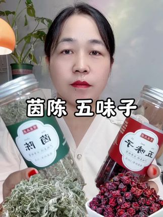 茵陈,五味子#草本植物 #强烈推荐