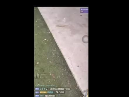 儿子骂娘这一块#保护动物 #反转