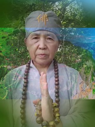 #生肖马#属马#马