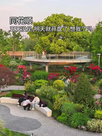 你知道这五天我是怎么过来的吗。#股票