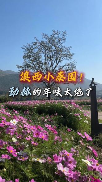 滇西小泰国!勐赫的年味太绝了! 来咱勐赫小镇才知道,咱爸妈一辈子向往的温馨日子,就藏在这烟火气里...#养老生活 #宜居城市 #康养圣地 #暖冬养老 #勐赫小镇