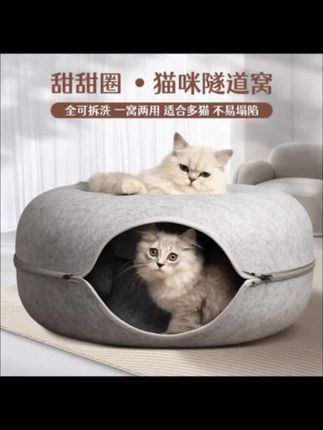 当我买了个甜甜圈当猫窝,没想到我家猫咪这么喜欢。#养猫经验分享 #萌宠好物 #萌宠 #铲屎官好物推荐 #复购率高