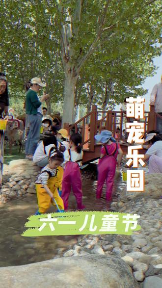 天气晴了终于能带宝贝畅玩萌宠乐园啦,六一特惠儿童只要6.1就可以畅玩一整天#亲子遛娃#昆明池七夕公园 #萌宠乐园 #六一就是要快乐呀 #周末遛娃