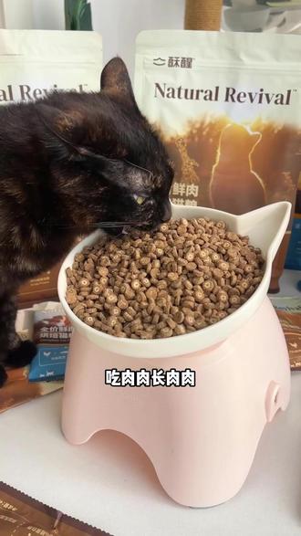 果然年后还有大漏捡!酥醒鲜肉烘焙猫粮的价格也太炸裂了 #猫粮推荐 #鲜肉猫粮 #酥醒猫粮 #新手养猫
