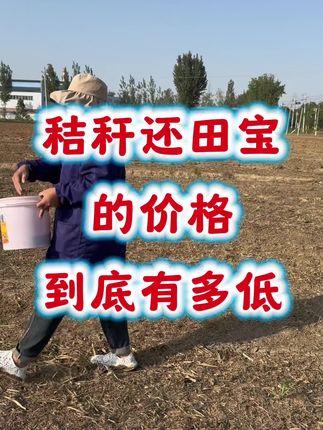 秸秆还田 #农业种植 #小麦种植 #玉米种植 #秸秆还田##种植小技巧