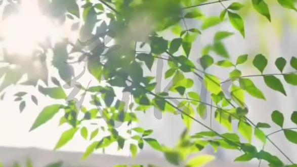 世界模糊不清,药kis交换真心!#药kis#R山药#ykis#药kis盖章#语音厅cp