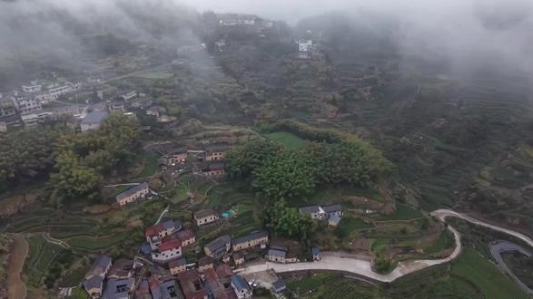 浙江丽水松阳县陈家铺村,坐落于大山之中,山坡之上,层层叠叠的房屋依山而建,雨后云海翻涌,云雾缭绕,犹如仙境。#航拍山村美景 #航拍最美家乡 #航拍松阳陈家铺 #陈家铺村 #跟着老邓去旅游