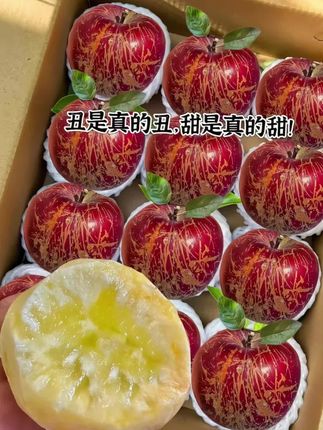 云南昭通丑苹果,甜度好 口感脆 香味浓 原生态,从开花到结果,以及整个生长过程,直到成熟苹果没有套袋不打蜡不催红树上自然成熟,喜欢吃苹果的,叔叔阿姨,哥哥姐姐们,可以在,左下角下单哟❤️❤️❤️❤️ #新鲜采摘 #脆甜多汁 #优质农产品