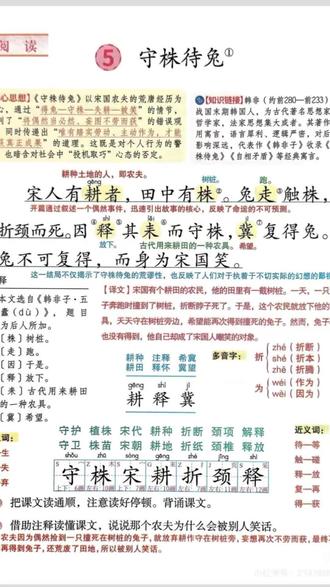 《守株待兔》重点讲解#语文 #重点
@语文小文老师