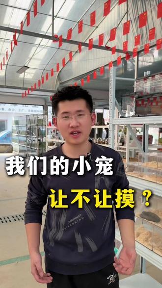 谁问的我们的小宠让不让摸,答案来了#宠物 #异宠 #临沂异宠 #临沂华强宠物大世界 #临沂爬宠市场