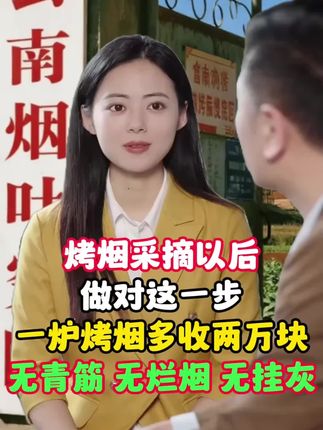 #烤烟种植技术与管理 #纯天然无添加 #优质农产品 #烟草 #烤烟