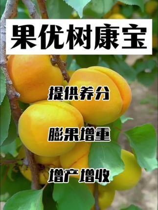 #果树#果树高产#果树种植