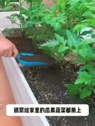 从小告诉孩子做个有教养的人,以后无论走到哪里都受欢迎#亲子教育 #家长必读 #正确的引导孩子陪伴孩子#孩子教育 #育儿育己