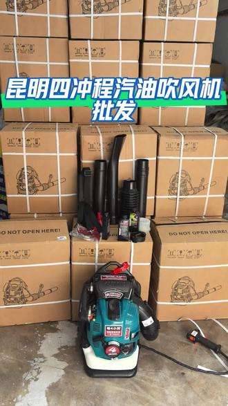 #汽油吹风机 昆明汽油吹风机批发四冲程汽油吹风机