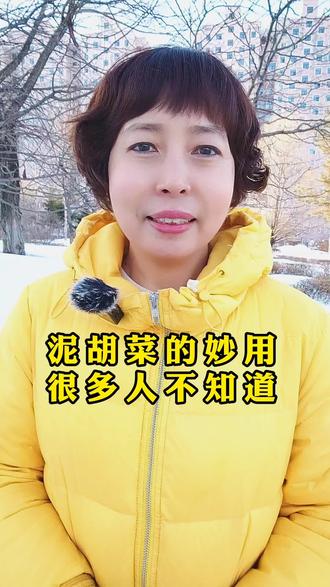 泥胡菜又名石灰菜,原来好处这么多,凉拌、包饺子味道鲜美 #泥胡菜 #识百草 #中草药科普