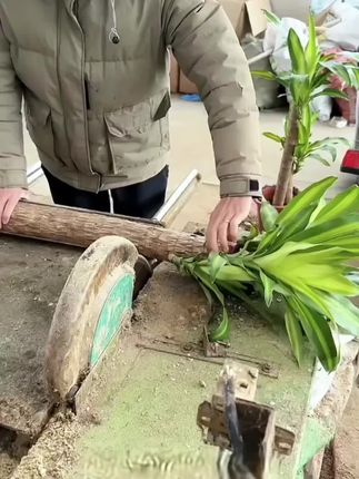 好物分享#好物推荐#感谢抖音官方#喜欢的人小黄车下单