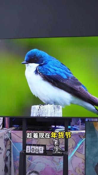 趁着现在年货节,入手这款红米电视A Pro 75英寸大电视更优惠!#红米 #红米电视 #智能电视 #科技 #年货节