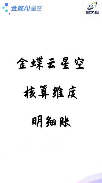 金蝶云星空核算维度明细账#金蝶云星空 #金蝶 #财务软件