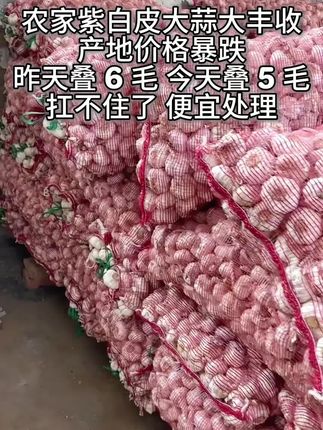 #上热门🔥 #大蒜 #农家紫白皮大蒜 #源头好货 #抖音助农扶农 @DOU+小助手