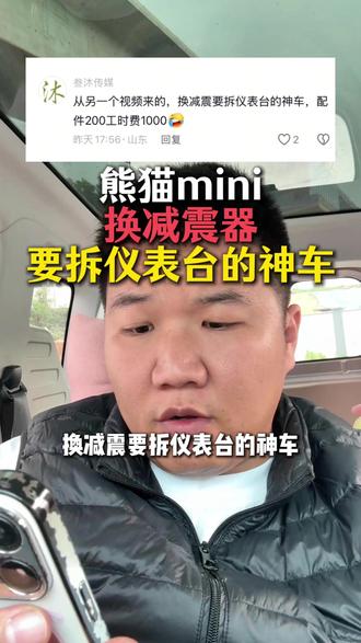 你们的熊猫mini有这个问题吗? #熊猫mini #吉利熊猫 #吉利熊猫mini #吉利熊猫骑士 #熊猫卡丁