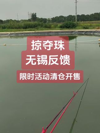 掠夺珠珠珠钓鱼技巧 #珠珠钓鱼法技巧