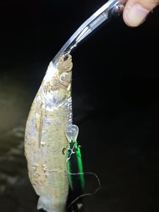 不错,就是后背痒痒的#我在抖音买买买