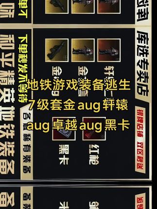 地铁游戏装备逃生7级套金aug轩辕aug卓越aug黑卡#地铁游戏 #地铁逃生装备 #地铁逃生Aug #地铁逃生装备保护 #地铁逃生轩辕
